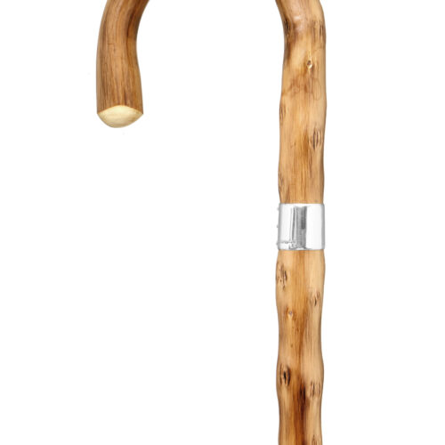 GCWS-Congo-SLB-Handle